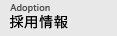 採用情報